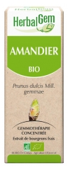 HerbalGem Organic Almond 30ml