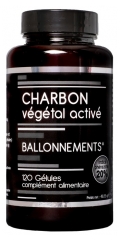 Nutrivie Charbon Végétal Activé 120 Gélules