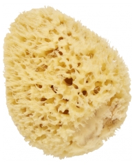 Cartel Paris Naturlig Havsvamp 14 cm