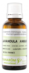 Pranarôm Essential Oil True Lavender (Lavandula angustifolia) 30 ml