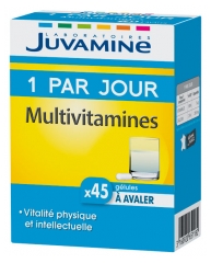 Juvamine 1 Par Jour Multivitamines 45 Gélules