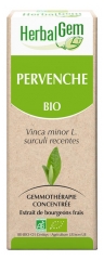 HerbalGem Bio Pervenche 30 ml