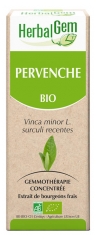 HerbalGem Organic Periwinkle 30ml