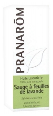 Pranarôm Essential Oil Sage with Lavender Leaves (Salvia Lavandulifolia) 10ml
