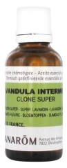 Pranarôm Huile Essentielle Lavandin Super (Lavandula intermedia clone super) 30 ml
