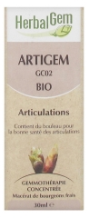 Bio Artigem 30 ml