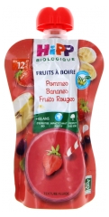 HiPP Fruits to Drink Apples Bananas Red Fruits from 12 Months Organic 120ml