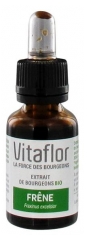 Vitaflor Bio-Knopsenextrakt Esche 15 ml