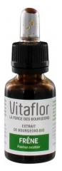 Vitaflor Organic Buds Extract Ash 15ml