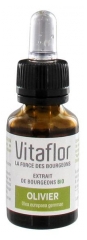 Vitaflor Organic Buds Extract Olive 15ml
