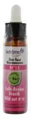 Ladrôme Bach Flower Remedies No. 15 : Wild Oats Organic 10 ml