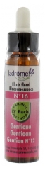 Ladrôme Bach Flower Remedies No. 16 : Gentian Organic 10 ml