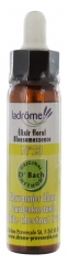 Ladrôme Bach Flower Remedies No. 23 : White Chestnut Tree Organic 10 ml