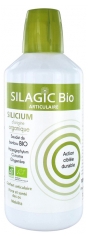 Silagic Articulaire Silicium d'Origine Organique Bio 1 L