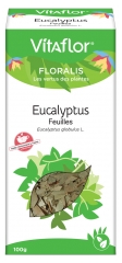 Feuilles à l'Eucalyptus 100 g
