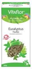 Vitaflor Feuilles à l'Eucalyptus 100 g