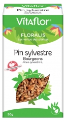Vitaflor Bourgeons de Pin Sylvestre 50 g