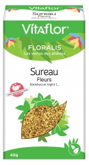 Vitaflor Holunderblüte 40 g