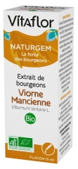 Vitaflor Naturgem Organic Buds Extract Viburnum Lantana L 15ml