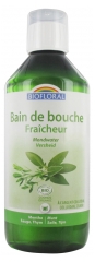Biofloral Bain de Bouche Fraîcheur Bio 500 ml