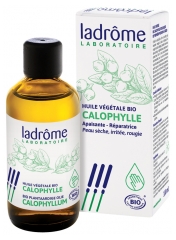 Ladrôme Huile Végétale de Calophylle Bio 100 ml