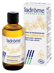 Ladr&ocirc;me &Oacute;leo de Macera&ccedil;&atilde;o de Hiperic&atilde;o Bio 100 ml