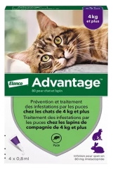 Advantage 80 Antifleas Solution for Cat and Rabbit of 4kg and More 4 Pipettes