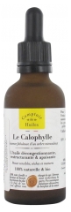 Comptoir des Huiles Le Calophylle Huile Végétale Bio 50 ml