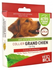 Collier Grand Chien 1 Collier