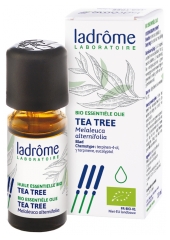 Ladr&ocirc;me Eterično olje čajevca (Melaleuca alternifolia) Bio 10 ml