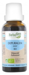 HerbalGem Depuragem Bio 30 ml