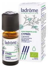 Ladr&ocirc;me &Oacute;leo Essencial Cipreste (Cupressus sempervirens) Bio 10 ml