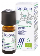 Ladrôme Organic Essential Oil Cypress (Cupressus sempervirens) 10ml