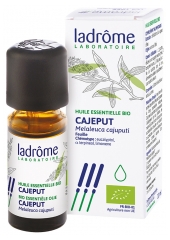 Ladrôme Huile Essentielle Cajeput (Melaleuca cajuputi) Bio 10 ml