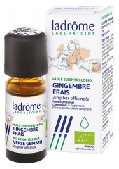 Ladr&ocirc;me &Oacute;leo Essencial Gengibre Fresco (Zingiber officinale) Bio 10 ml