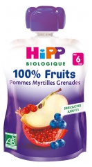 HiPP 100% Fruit Gourd Apples Blueberries Pomegranates from 6 Months Organic 90g