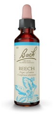 Fleurs de Bach Original Beech 20 ml