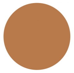 Delarom Crème De Soin Teintée 30 ml