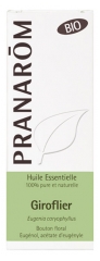 Pranarôm Huile Essentielle Giroflier (Eugenia caryophyllus) Bio 10 ml