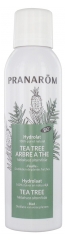 Pranarôm Hydrolat Tea Tree Arbre à Thé Bio 150 ml
