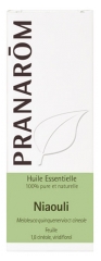 Pranarôm Huile Essentielle Niaouli (Melaleuca quinquenervia CT cinéole) 10 ml
