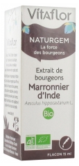 Vitaflor Extrait de Bourgeons Marronnier d'Inde Bio 15 ml