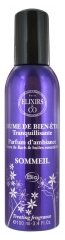Elixirs & Co Brume de Bien-Être Tranquillisante Sommeil 100 ml