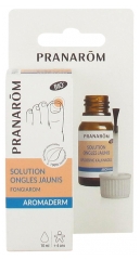 Pranarôm Organiczny Roztwór do Paznokci żółtych 10 ml