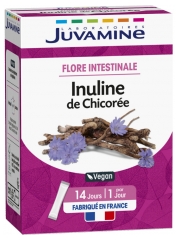Juvamine Flore Intestinale Inuline de Chicorée 14 Sticks
