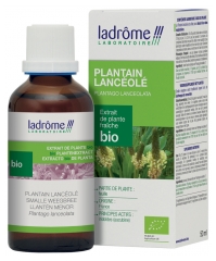 Ladrôme Extracto de Planta Fresca de Plátano Orgánico Lanzado 50 ml