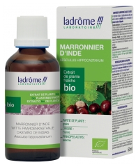 Ladr&ocirc;me Paardenkastanje Organisch Vers Plantenextract 50 ml