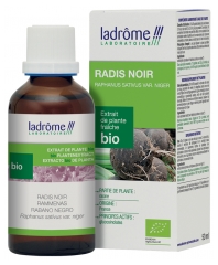 Ladrôme Extracto Orgánico de Planta Fresca Rábano Negro 50 ml