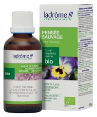 Ladr&ocirc;me Luomu Tuorekasviuute Orvokki 50 ml