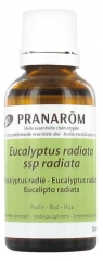 Pranarôm Eucalyptus Radié Essential Oil (Eucalyptus Radiata ssp Radiata) Bio 30 ml